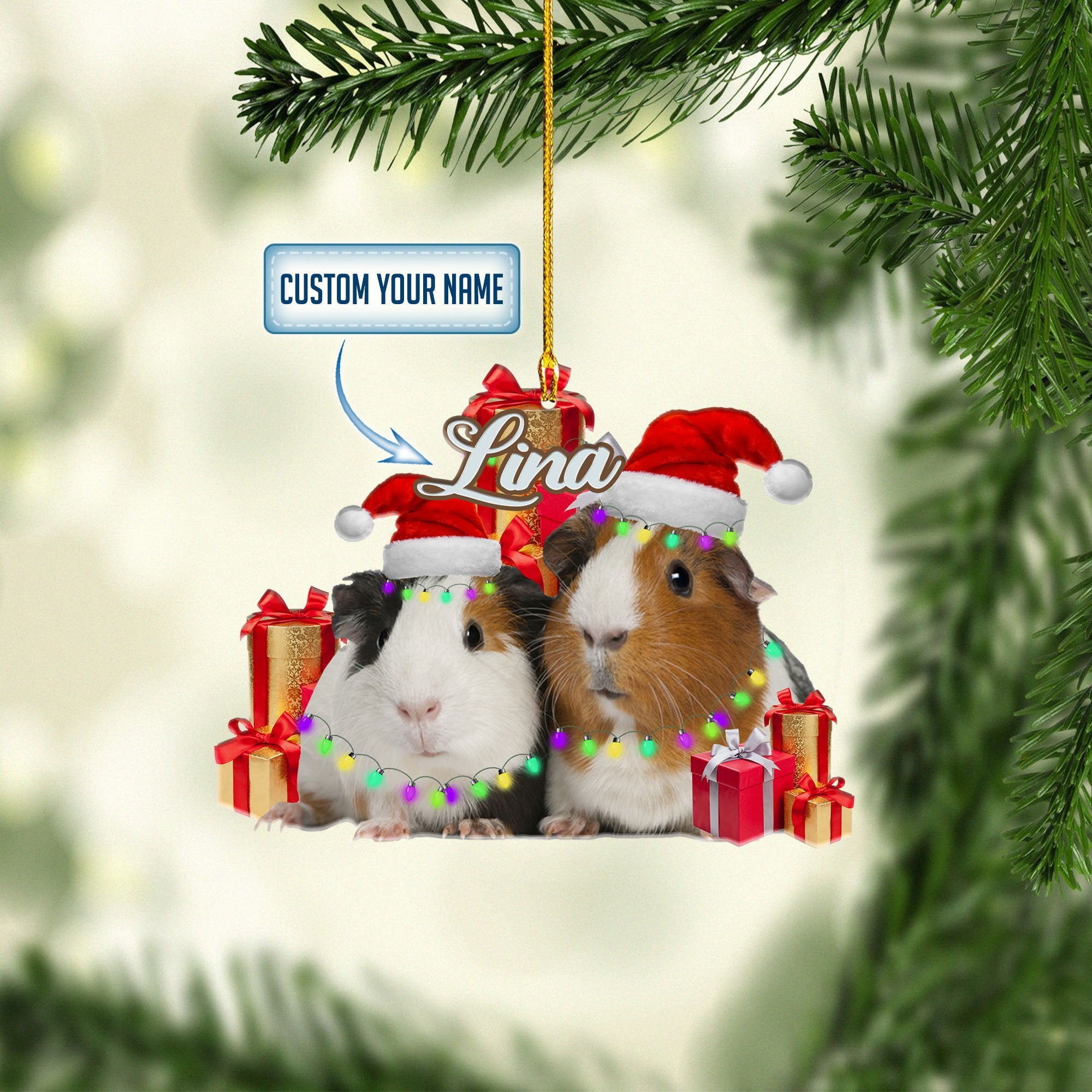 Personalized Guinea Pig Gift Christmas Ornaments/ Gift for Guinea Pig Lover