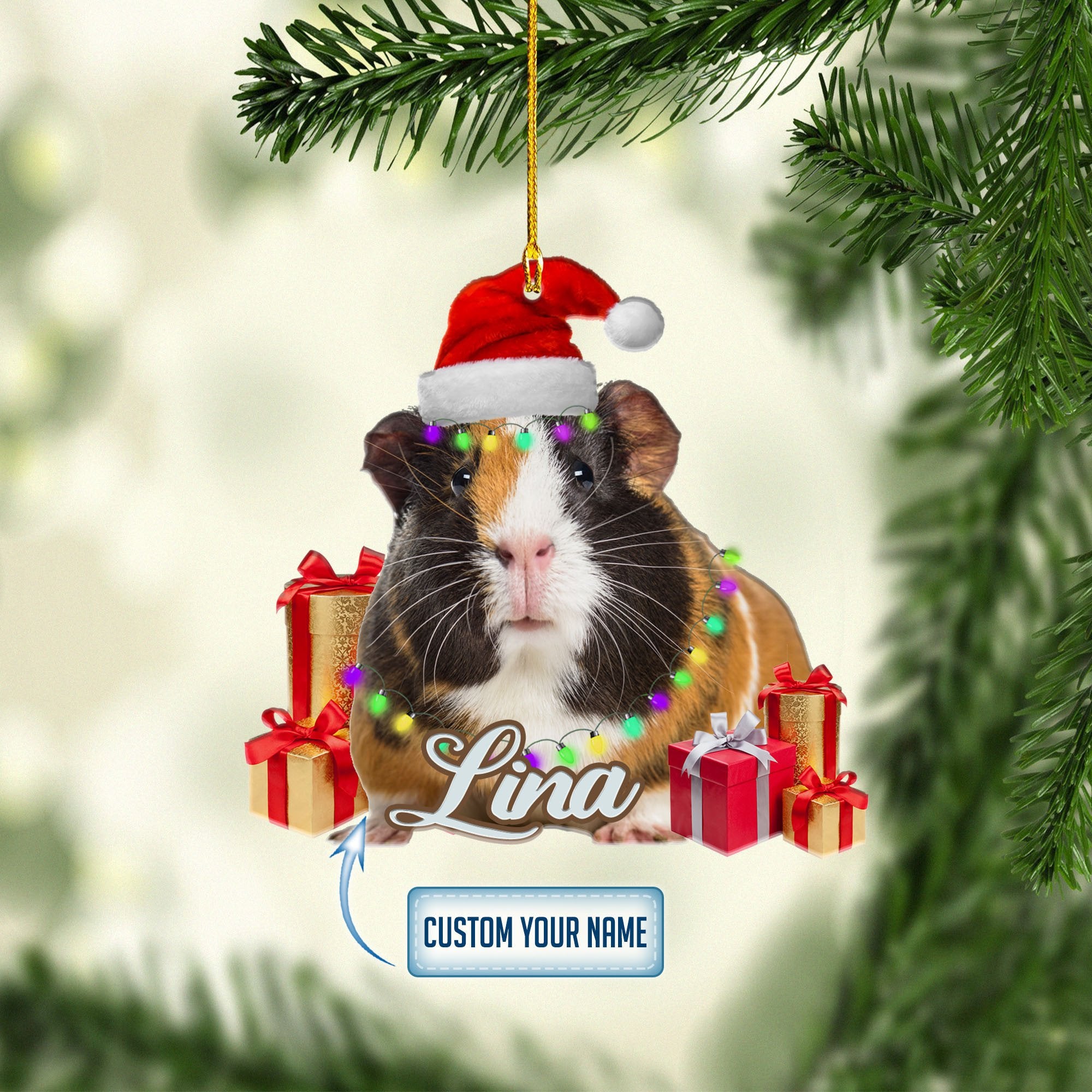Personalized Guinea Pig Gift Christmas Ornaments/ Gift for Guinea Pig Lover
