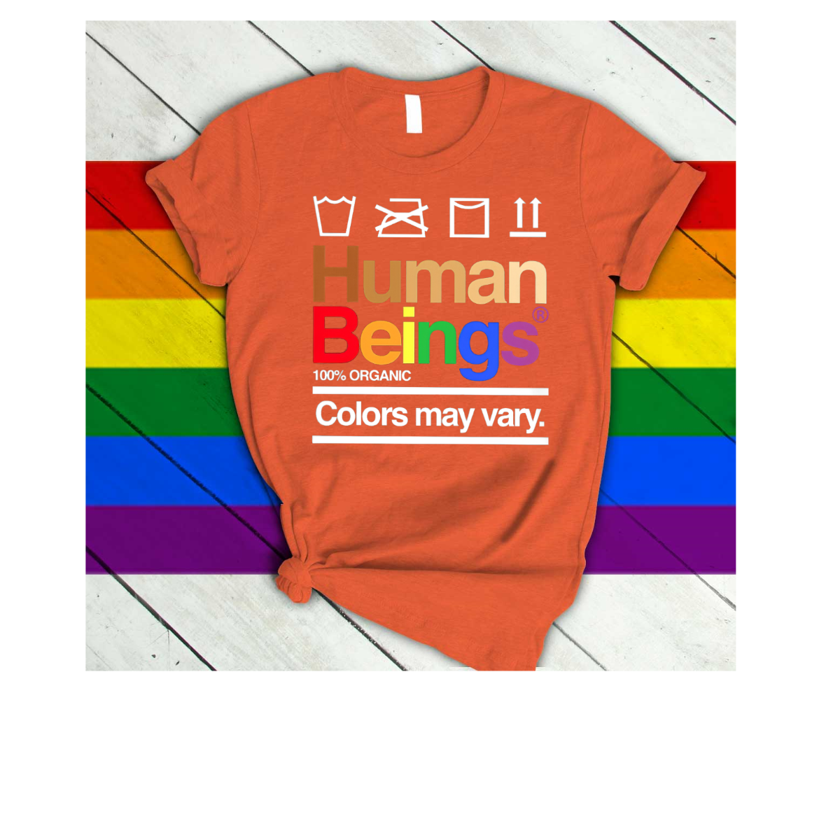 LGBT T Shirts Human beings Colors May Vary/ Gift For Lesbian/ T Shirts For Gay Pride
