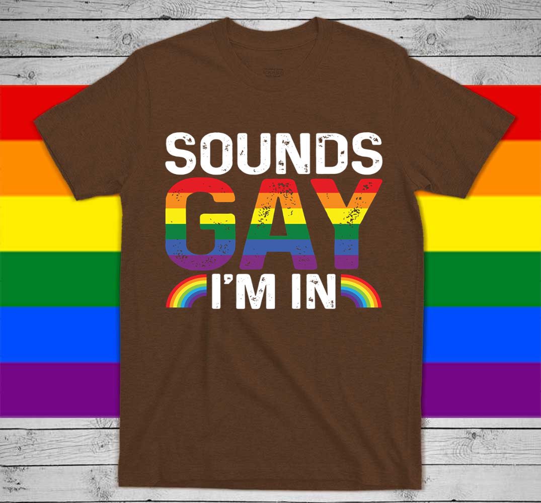 Rainbow T Shirt/ Sounds Gay I