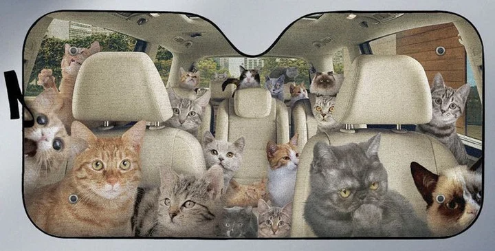 Cats All Family Car Sunshade/ Cat Car Sun Shade Windshield