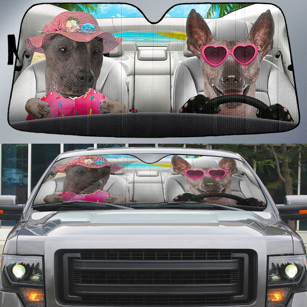 Peruvian Inca Orchid-Dog Summer Vacation Couple Car Sun Shade Cover Auto Windshield