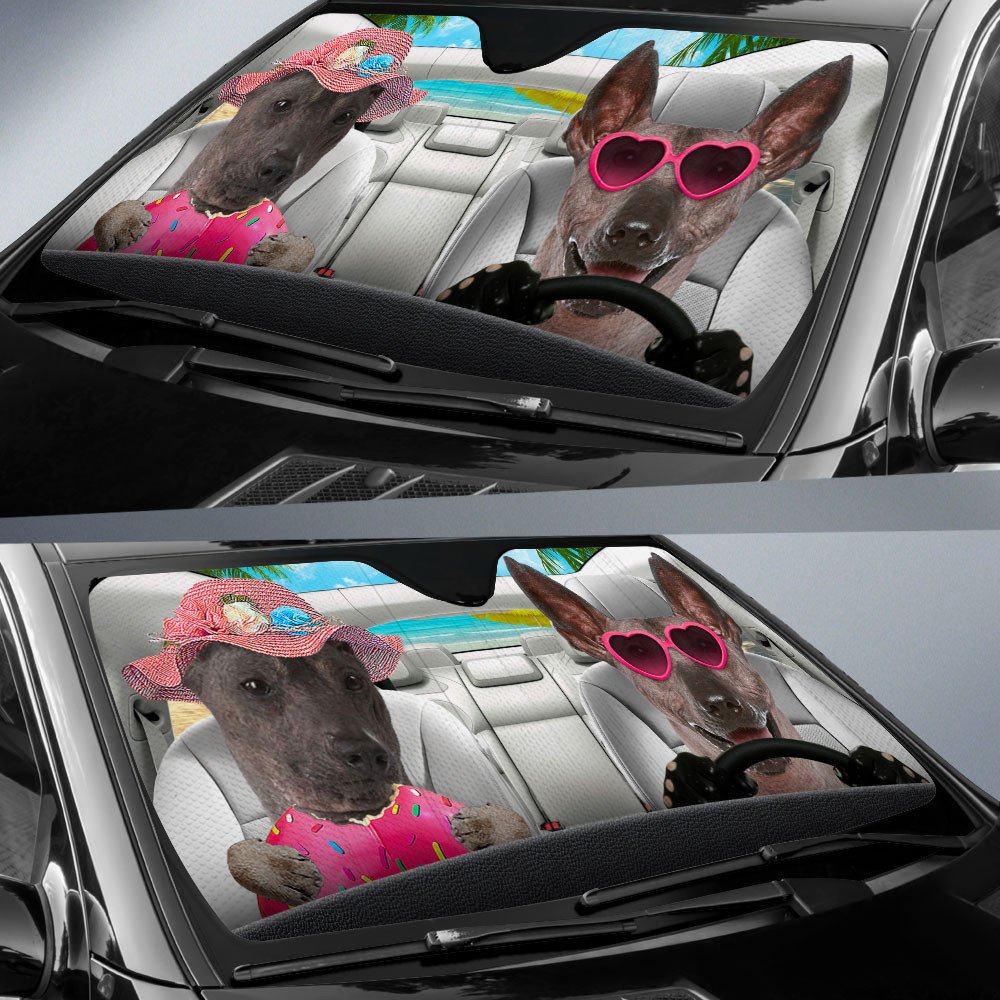 Peruvian Inca Orchid-Dog Summer Vacation Couple Car Sun Shade Cover Auto Windshield