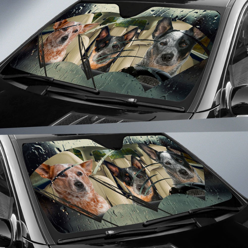 Australian Cattle Dog Rainy Driving Car Sun Shade Cover Auto Windshield Coolspod