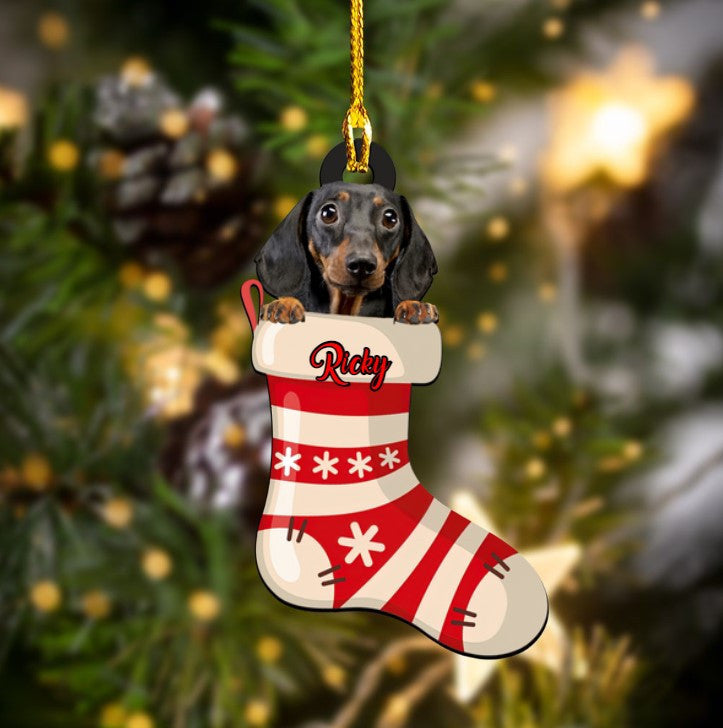 Personalized Funny Dachshund in Stock Acrylic Ornament for Christmas Gift Dog Lovers