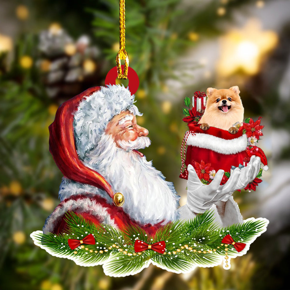 Pomeranian and Santa Christmas Ornament for Dog Lovers/ Dog Mom Acrylic Dog Ornament