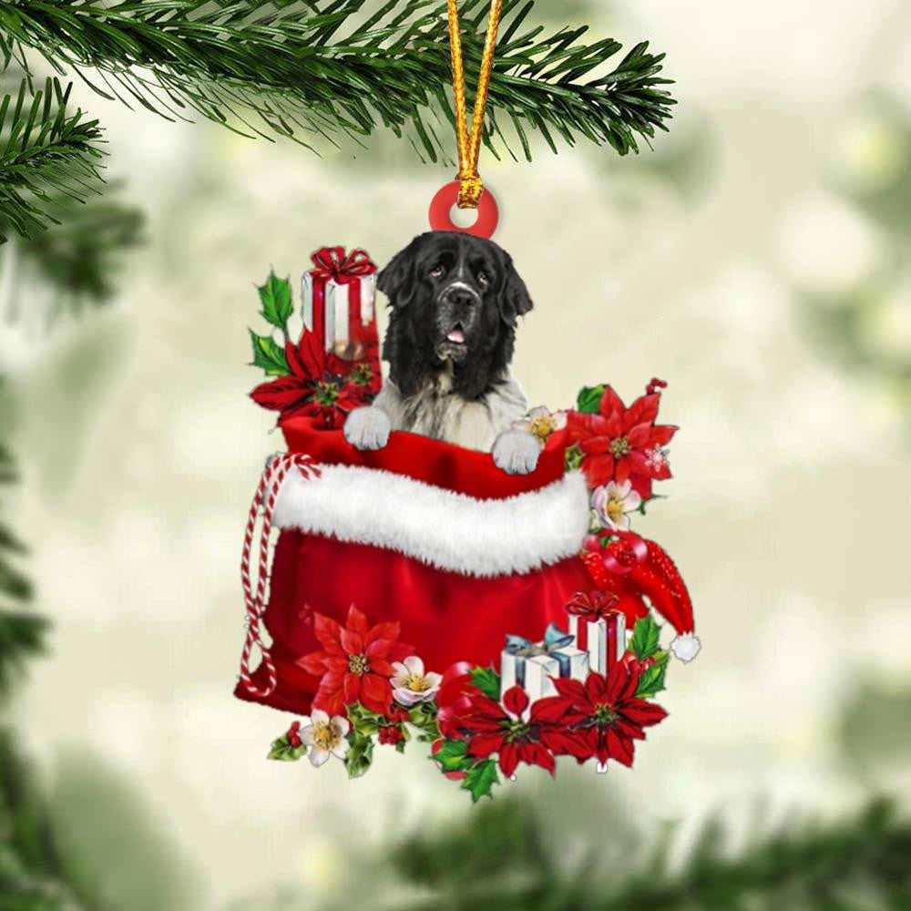 Newfounderland In Gift Bag Christmas Ornament for Dog Lovers Made by Acrylic