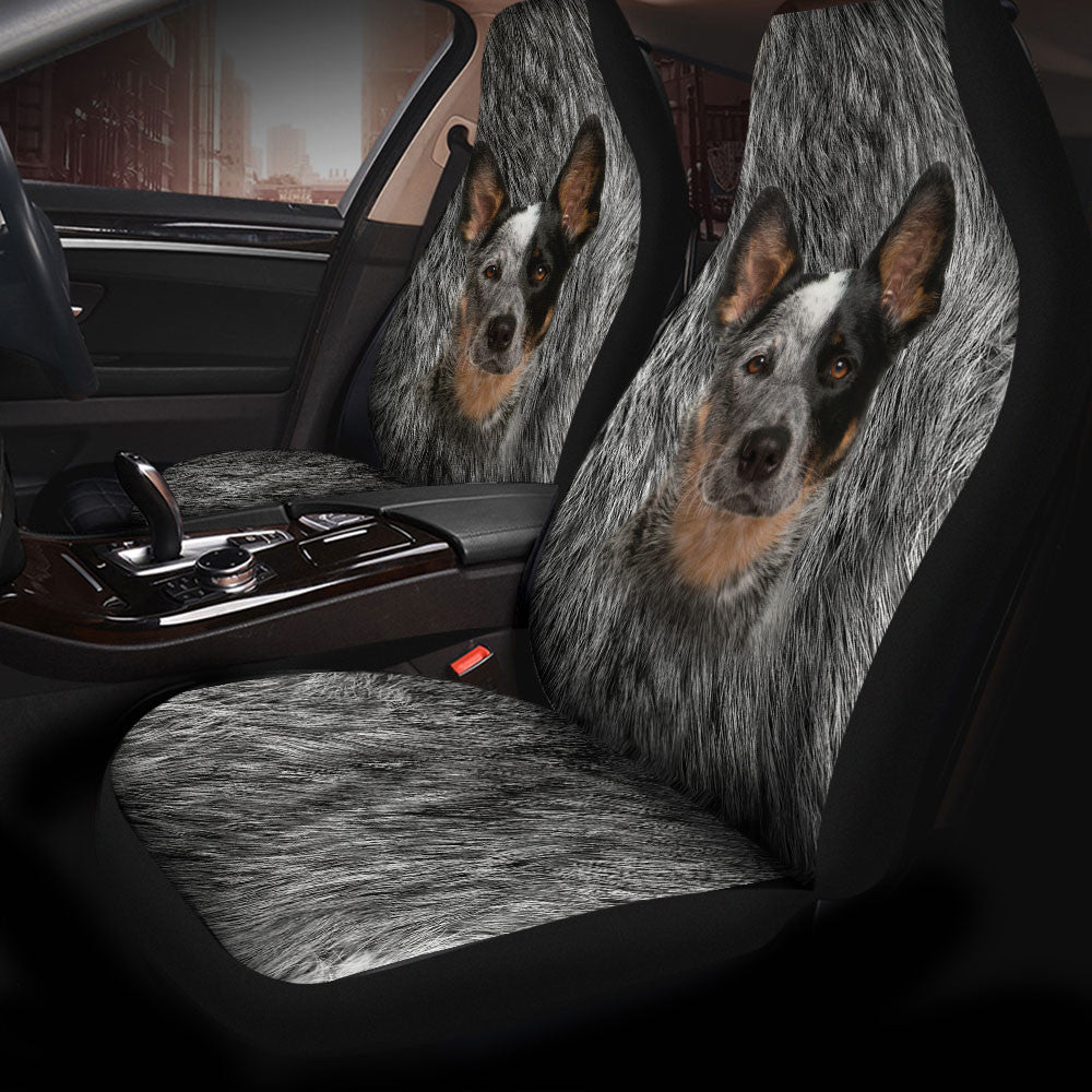Australian Cattle Dog Funny Face Car Seat Covers