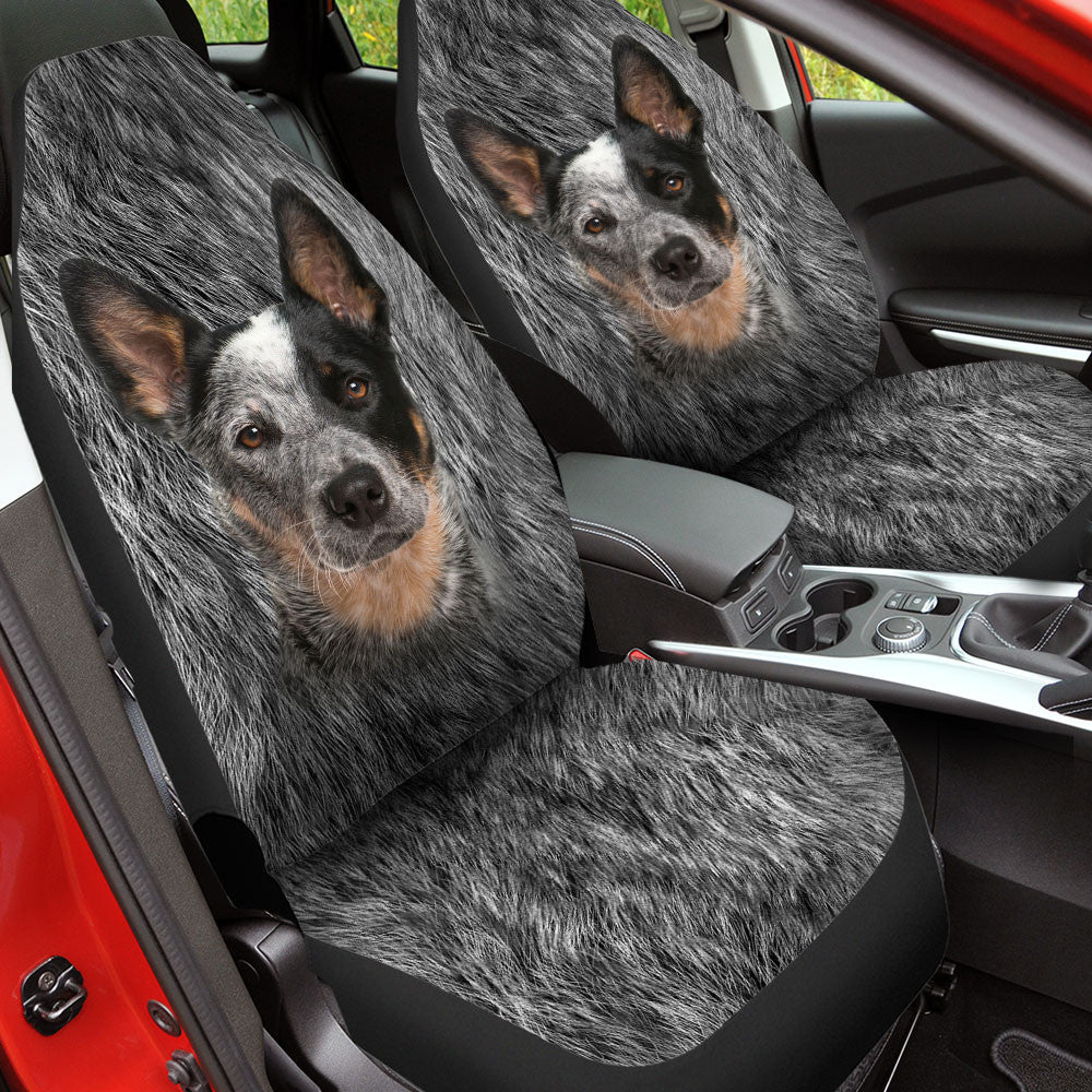 Australian Cattle Dog Funny Face Car Seat Covers
