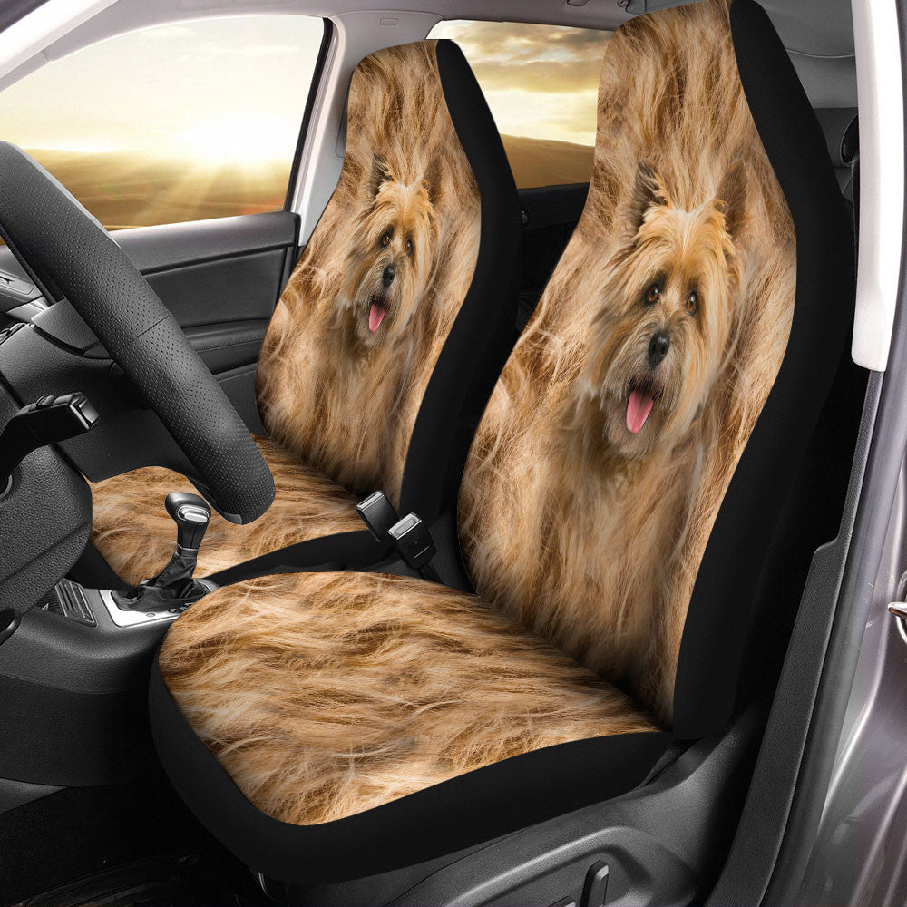 Cairn Terrier Dog Funny Face Car Seat Covers