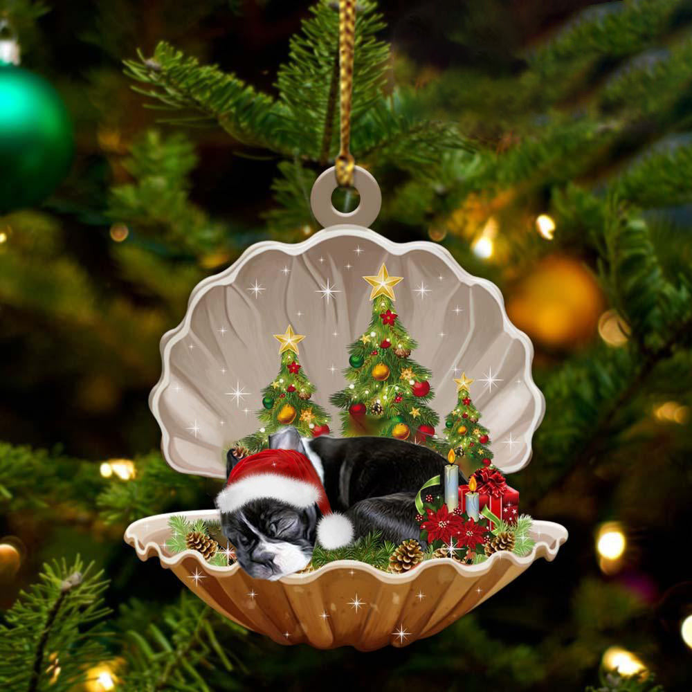 Boston Terrier3  Sleeping in Pearl Dog Christmas Ornament Flat Acrylic