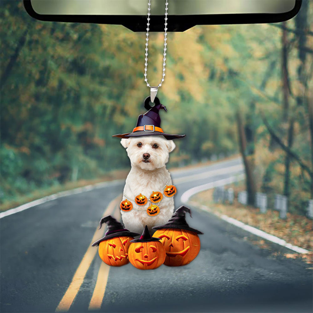 Maltipoo Halloween Pumpkin Scary Car Ornament