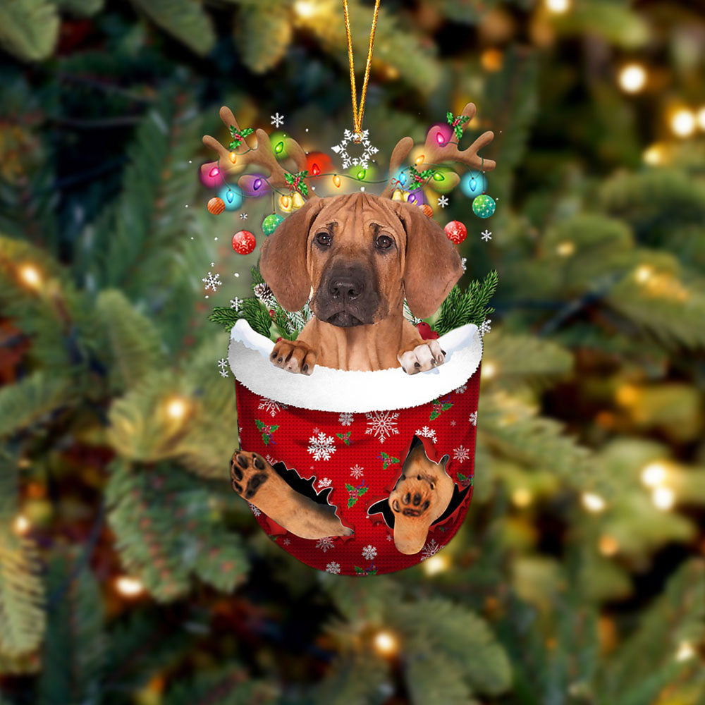 Rhodesian Ridgeback In Snow Pocket Christmas Ornament Flat Acrylic Dog Ornament