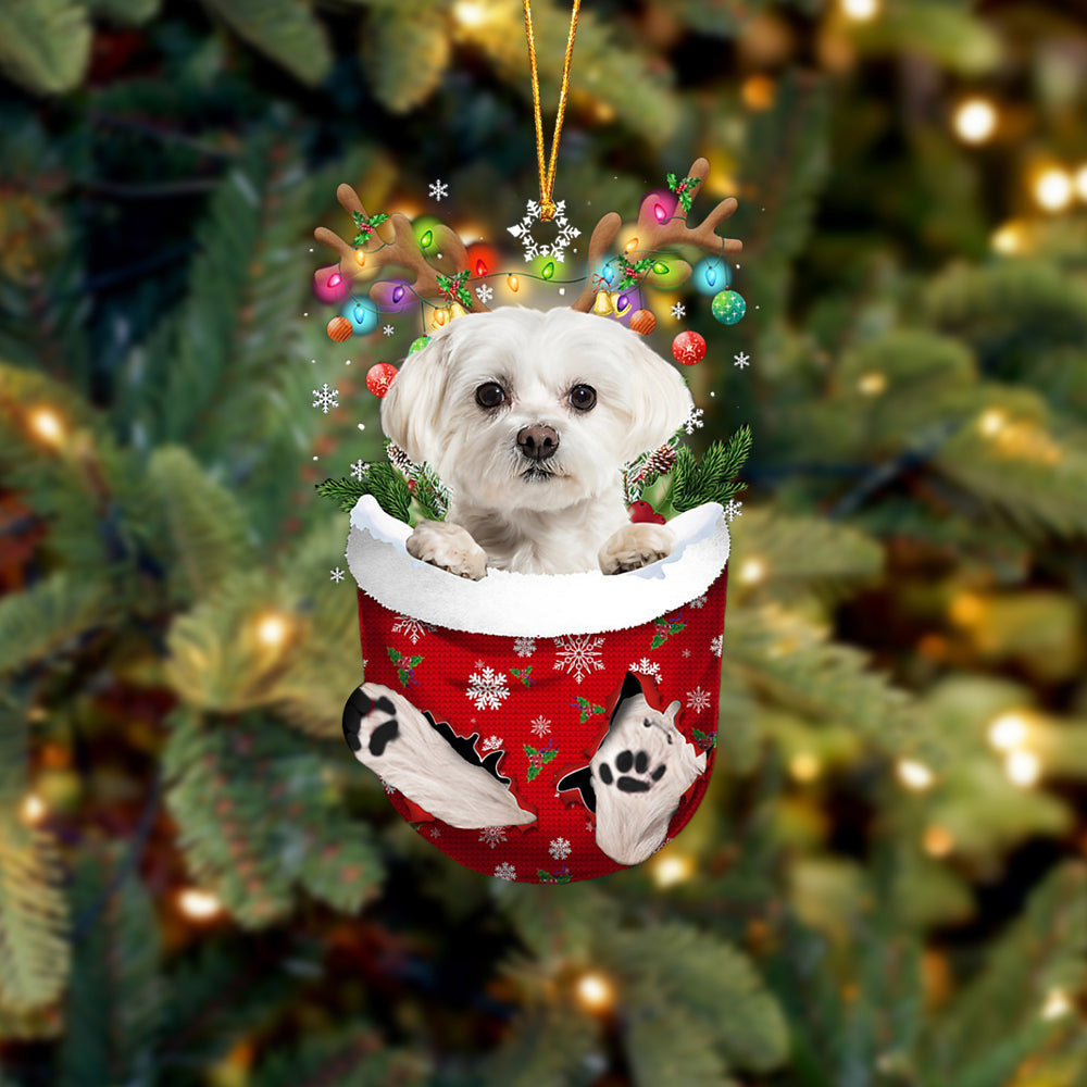 WHITE Maltese In Snow Pocket Christmas Ornament Flat Acrylic Dog Ornament