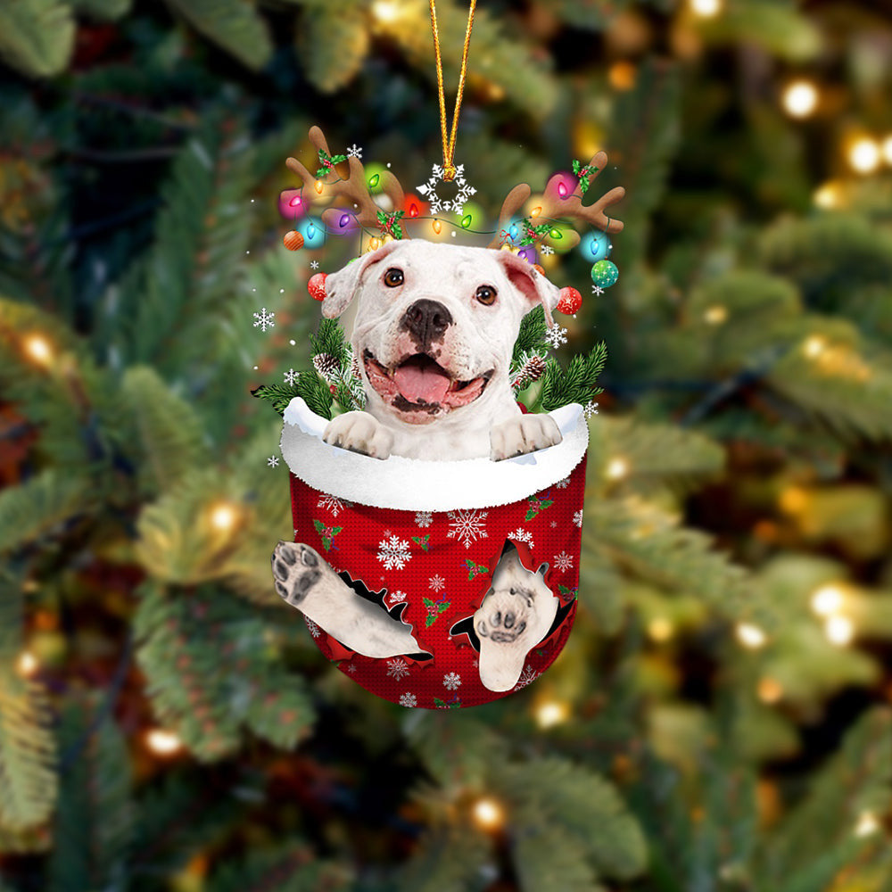 WHITE Pitbulll In Snow Pocket Christmas Ornament Flat Acrylic Dog Ornament