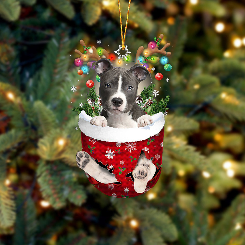 BLUE Nose Pitbull In Snow Pocket Christmas Ornament Flat Acrylic Dog Ornament