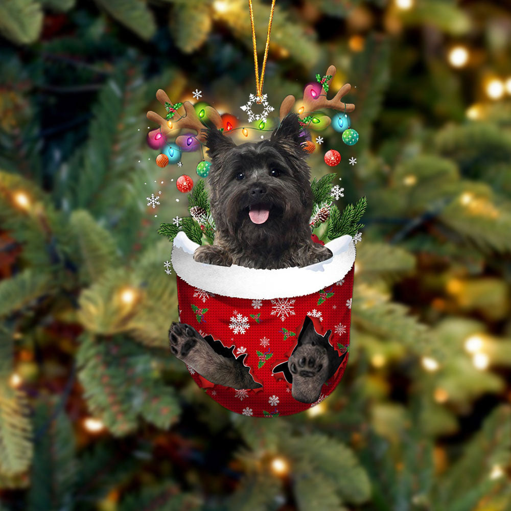 Cairn Terrier 2 In Snow Pocket Christmas Ornament Flat Acrylic Dog Ornament
