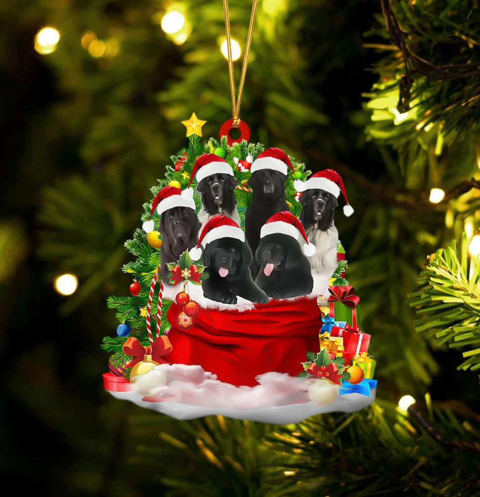 Newfoundland Dogs In A Gift Bag Christmas Ornament Flat Acrylic Dog Ornament