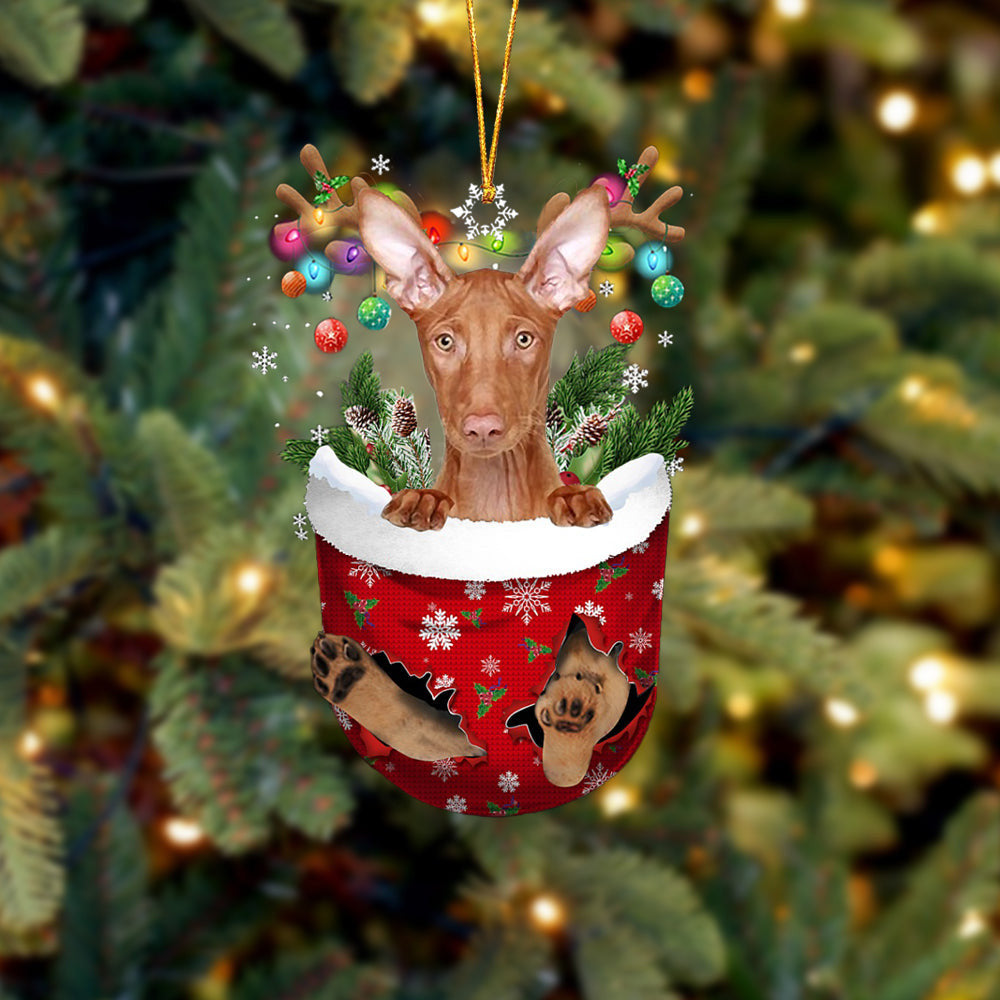 Pharaoh Hound In Snow Pocket Christmas Ornament Flat Acrylic Dog Ornament