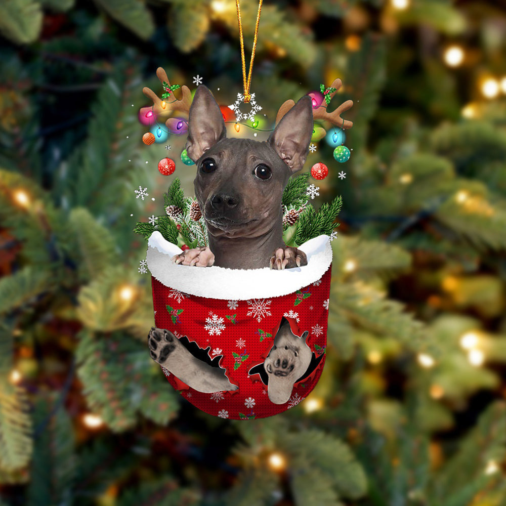 American Hairless Terrier In Snow Pocket Christmas Ornament Flat Acrylic Dog Ornament