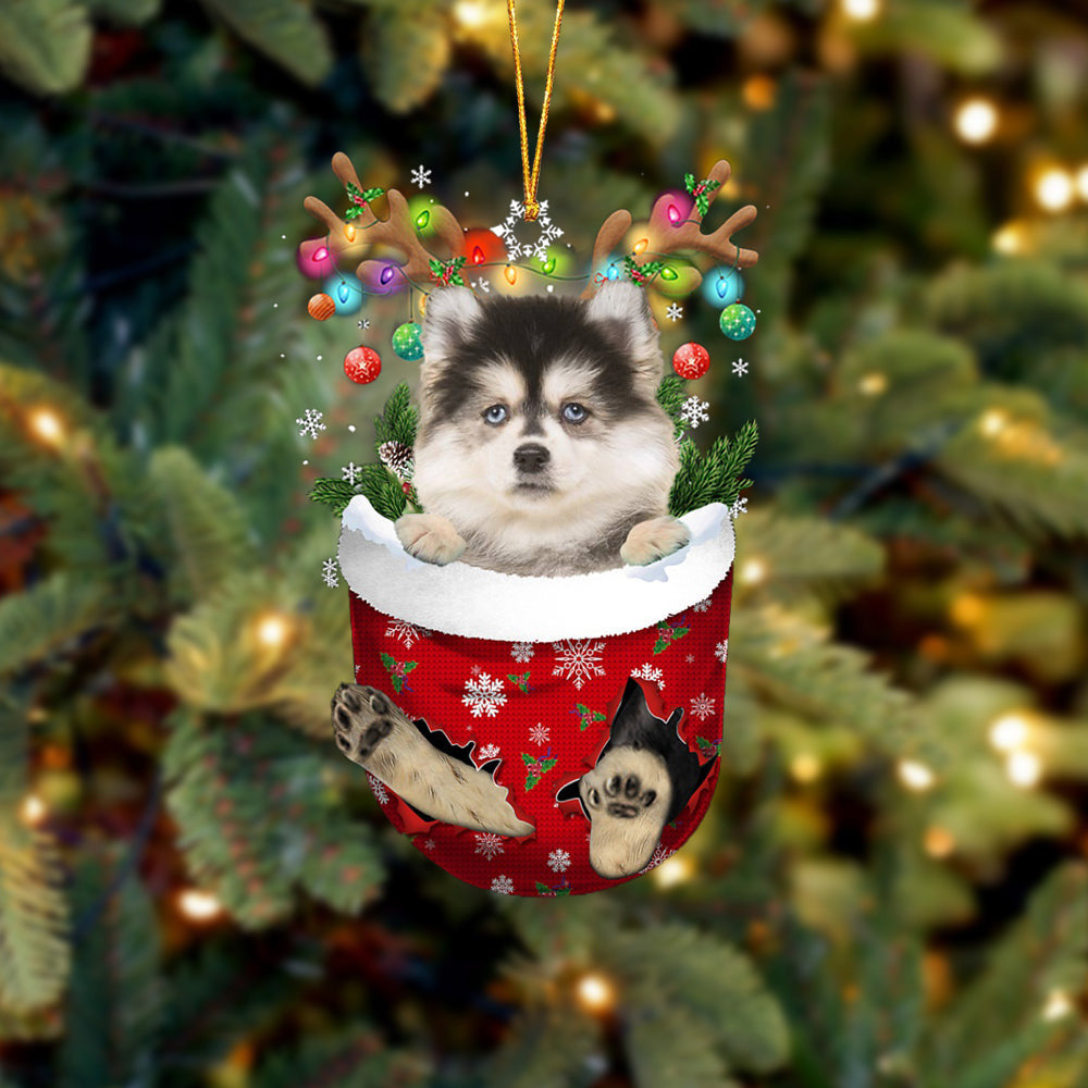 Pomsky In Snow Pocket Christmas Ornament Flat Acrylic Dog Ornament