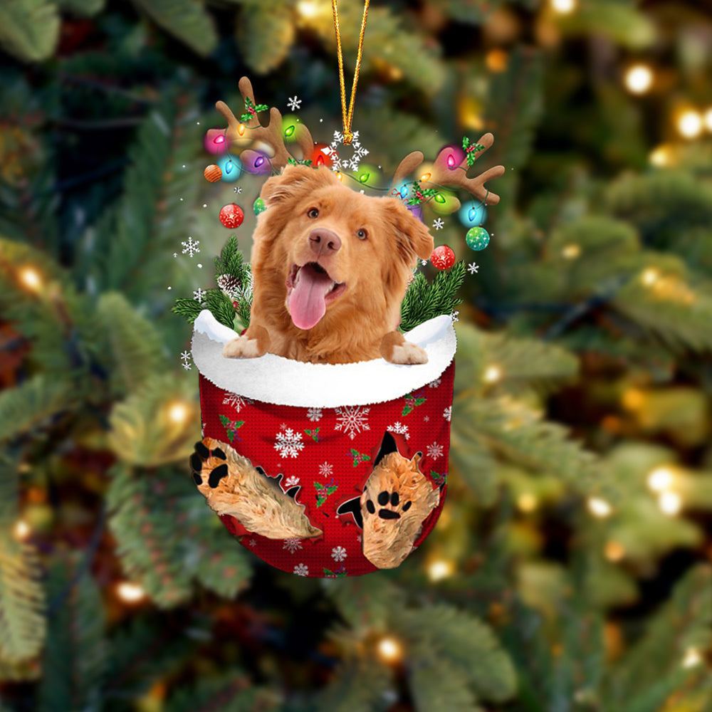 Nova Scotia Duck Tolling Retriever In Snow Pocket Christmas Ornament Flat Acrylic Dog Ornament