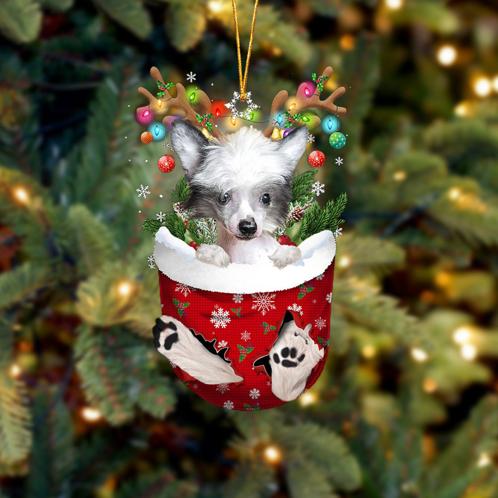 Chinese Crested Dog In Snow Pocket Christmas Ornament Flat Acrylic Dog Ornament