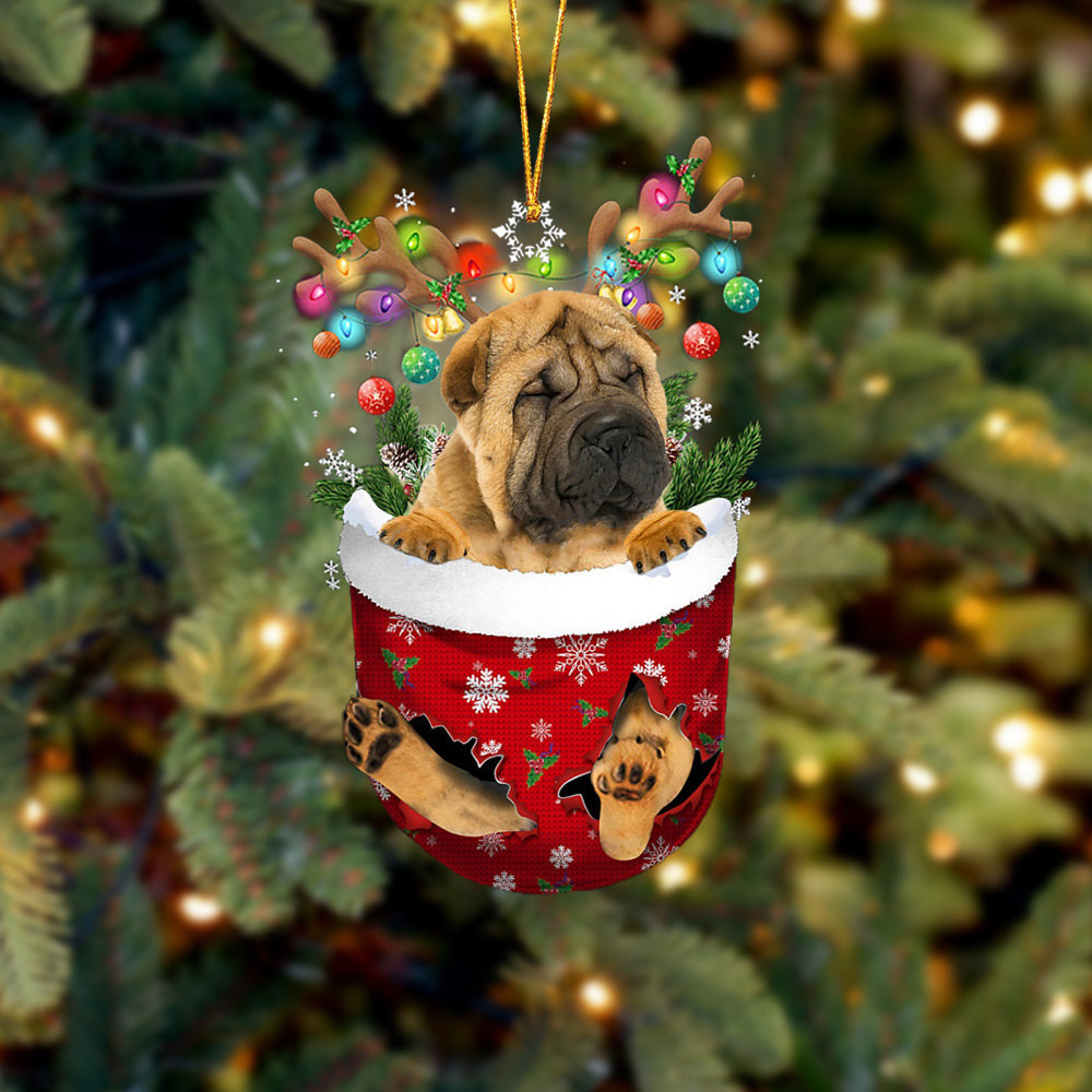 Shar Pei In Snow Pocket Christmas Ornament Flat Acrylic Dog Ornament