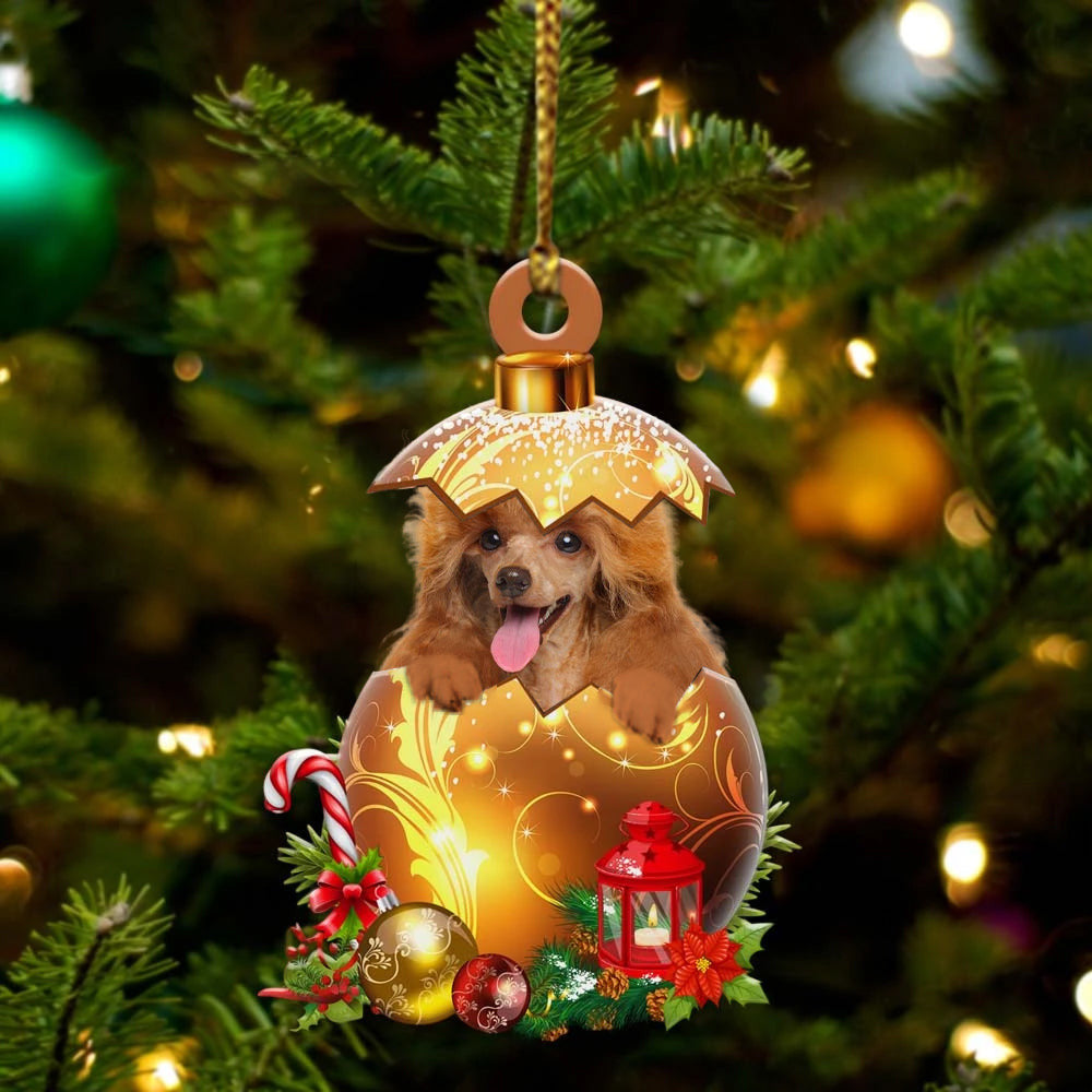 Toy Poodle In in Golden Egg Christmas Ornament/ Flat Acrylic Dog Ornament