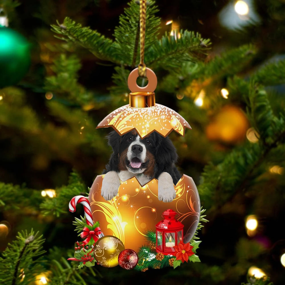 Bernese Mountain In in Golden Egg Christmas Ornament/ Flat Acrylic Dog Ornament