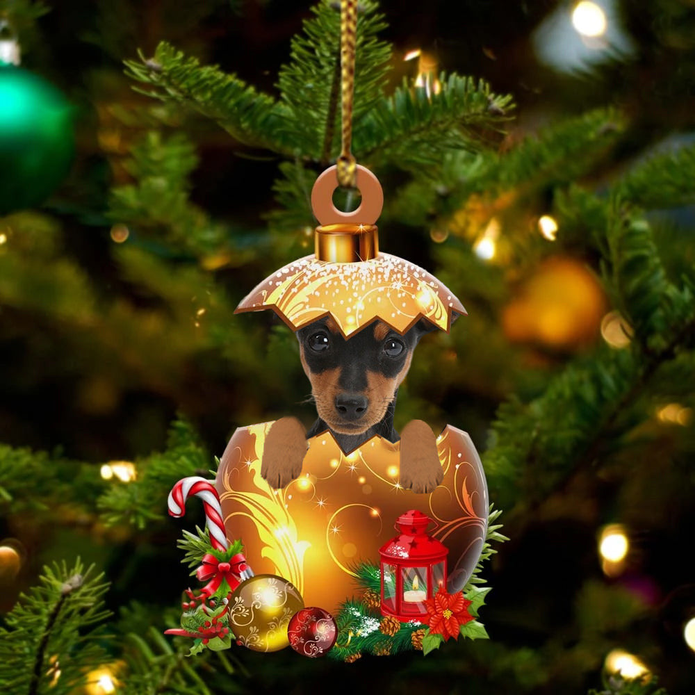 Miniature Pinscher In in Golden Egg Christmas Ornament/ Flat Acrylic Dog Ornament