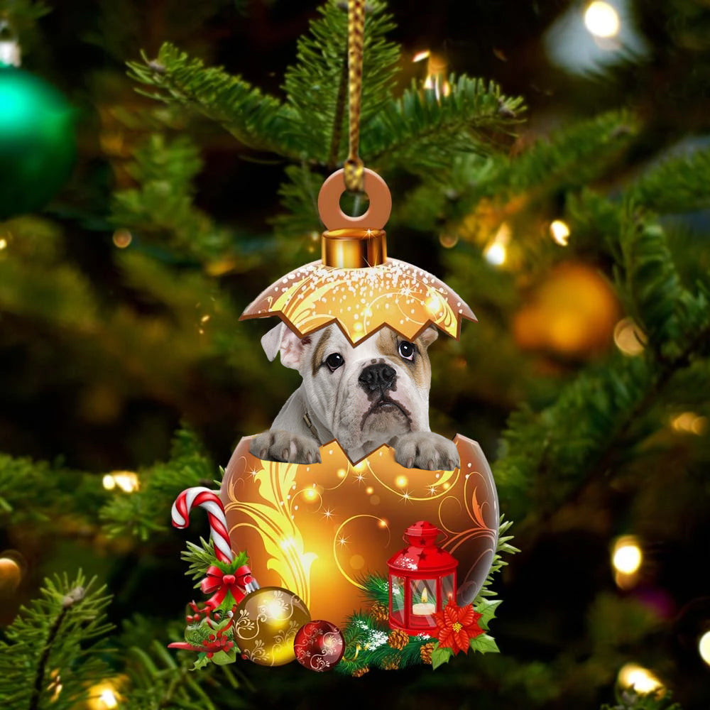 English Bulldog In in Golden Egg Christmas Ornament/ Flat Acrylic Dog Ornament