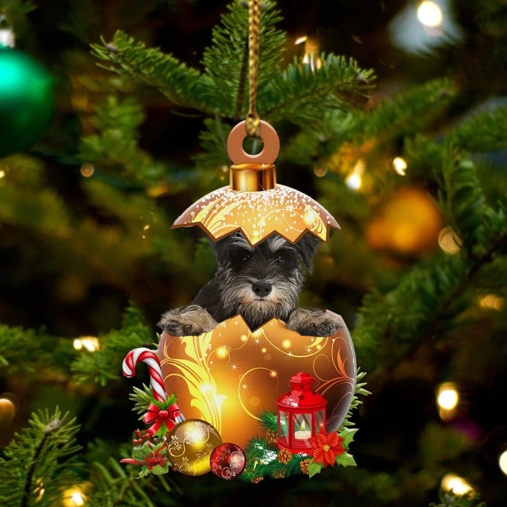 Miniature Schnauzer In in Golden Egg Christmas Ornament/ Flat Acrylic Dog Ornament