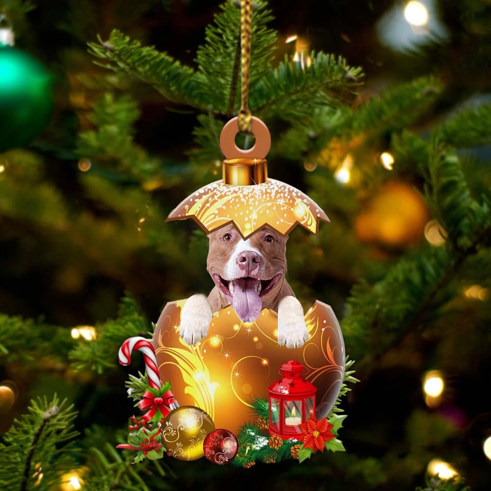 Pitbull In in Golden Egg Christmas Ornament/ Flat Acrylic Dog Ornament