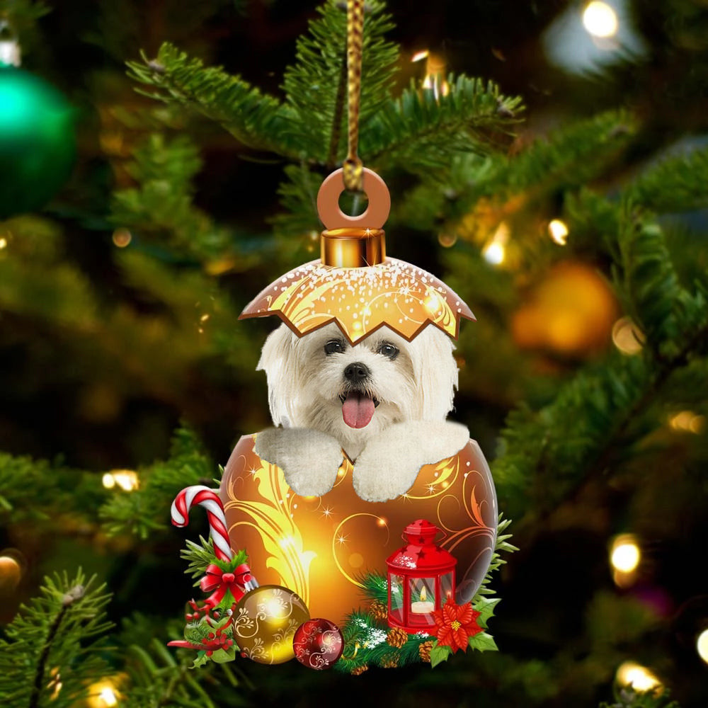 Maltese In in Golden Egg Christmas Ornament/ Flat Acrylic Dog Ornament