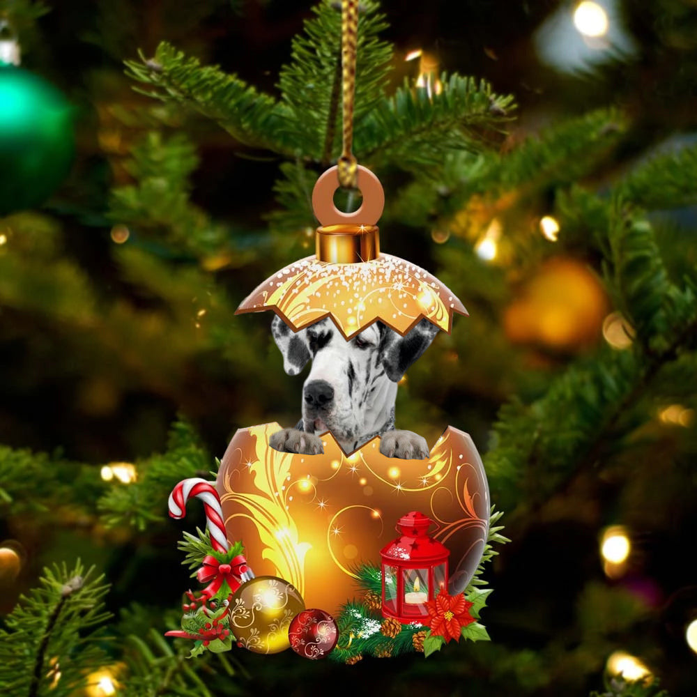 Great Dane In in Golden Egg Christmas Ornament/ Flat Acrylic Dog Ornament