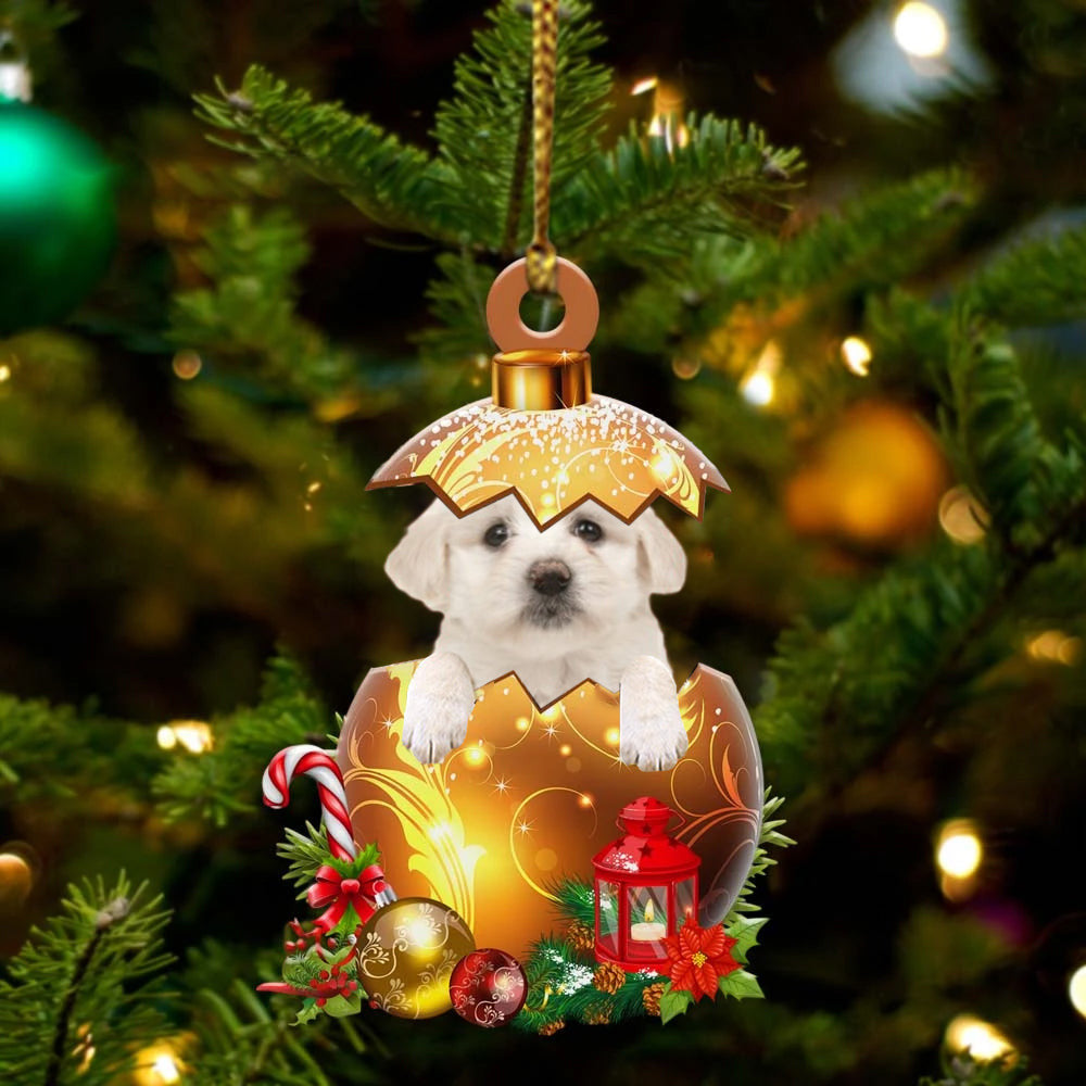 Maltese2 In in Golden Egg Christmas Ornament/ Flat Acrylic Dog Ornament