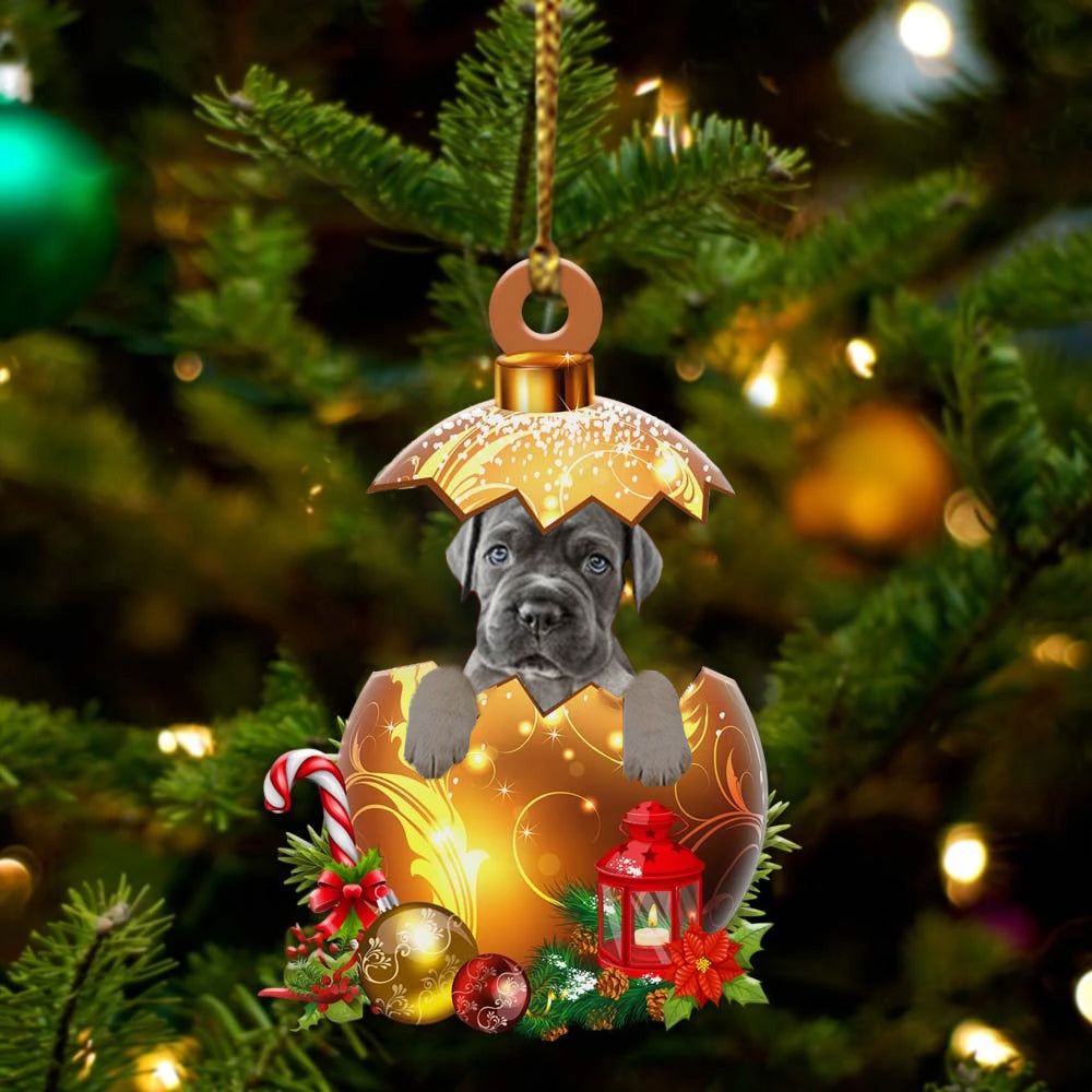 Cane Corso In in Golden Egg Christmas Ornament/ Flat Acrylic Dog Ornament