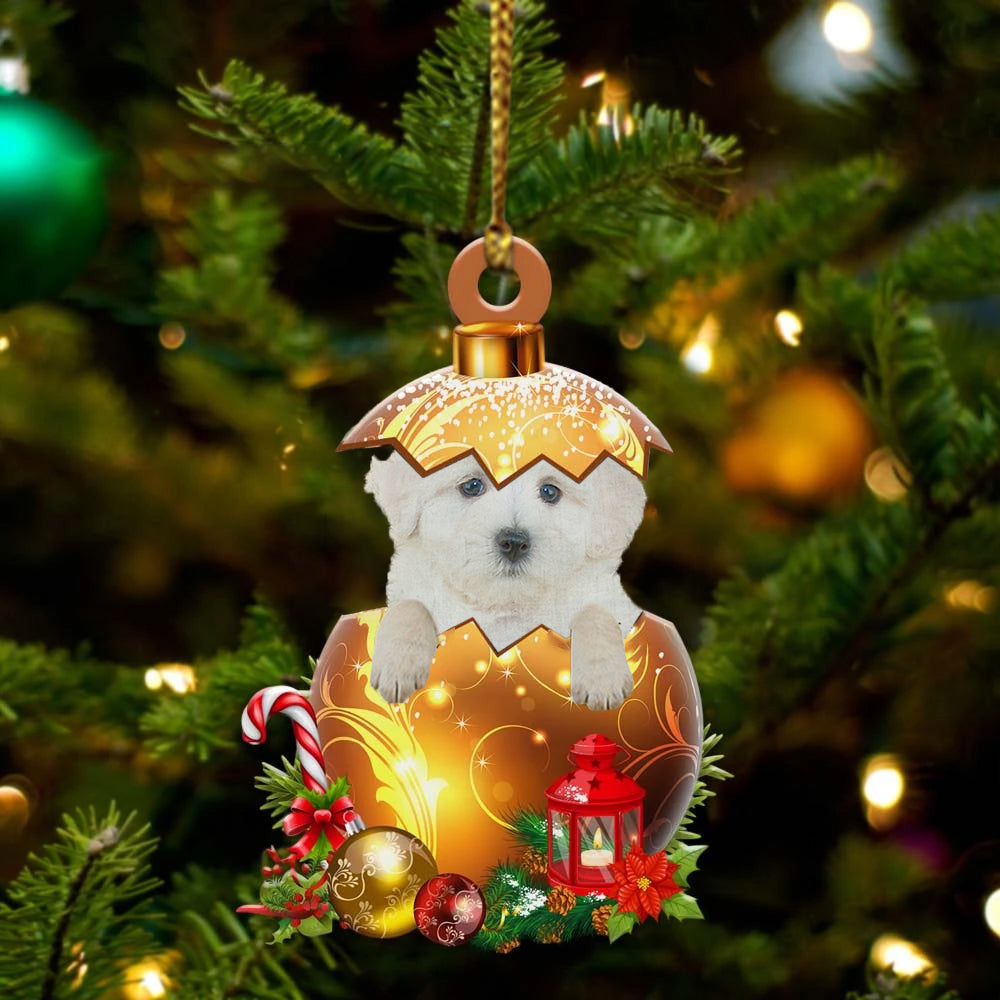 Maltipoo In in Golden Egg Christmas Ornament/ Flat Acrylic Dog Ornament