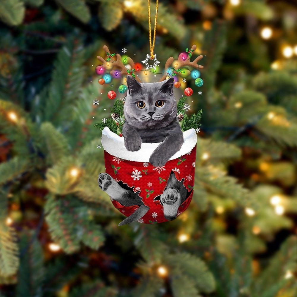 Funny British Grey Cat In Snow Pocket Christmas Ornament Flat Acrylic Cat Ornament