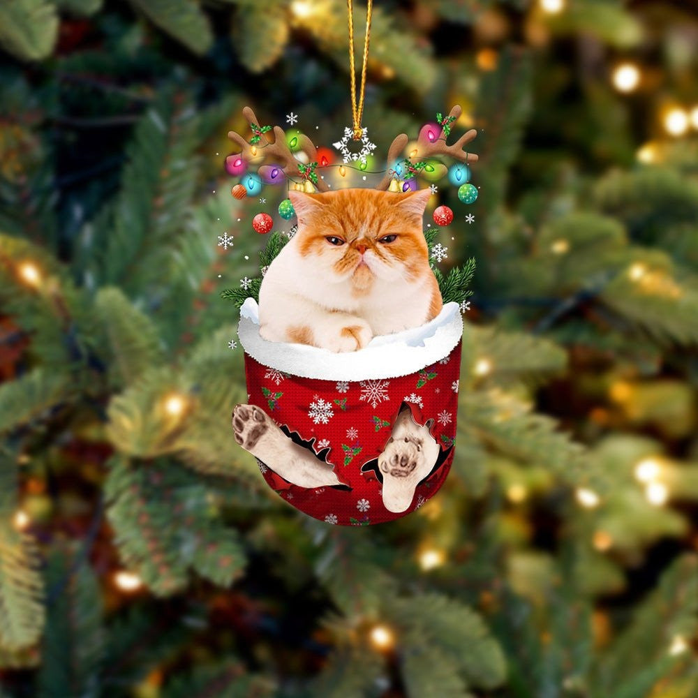 Funny Yellow Cat In Snow Pocket Christmas Ornament Flat Acrylic Cat Ornament