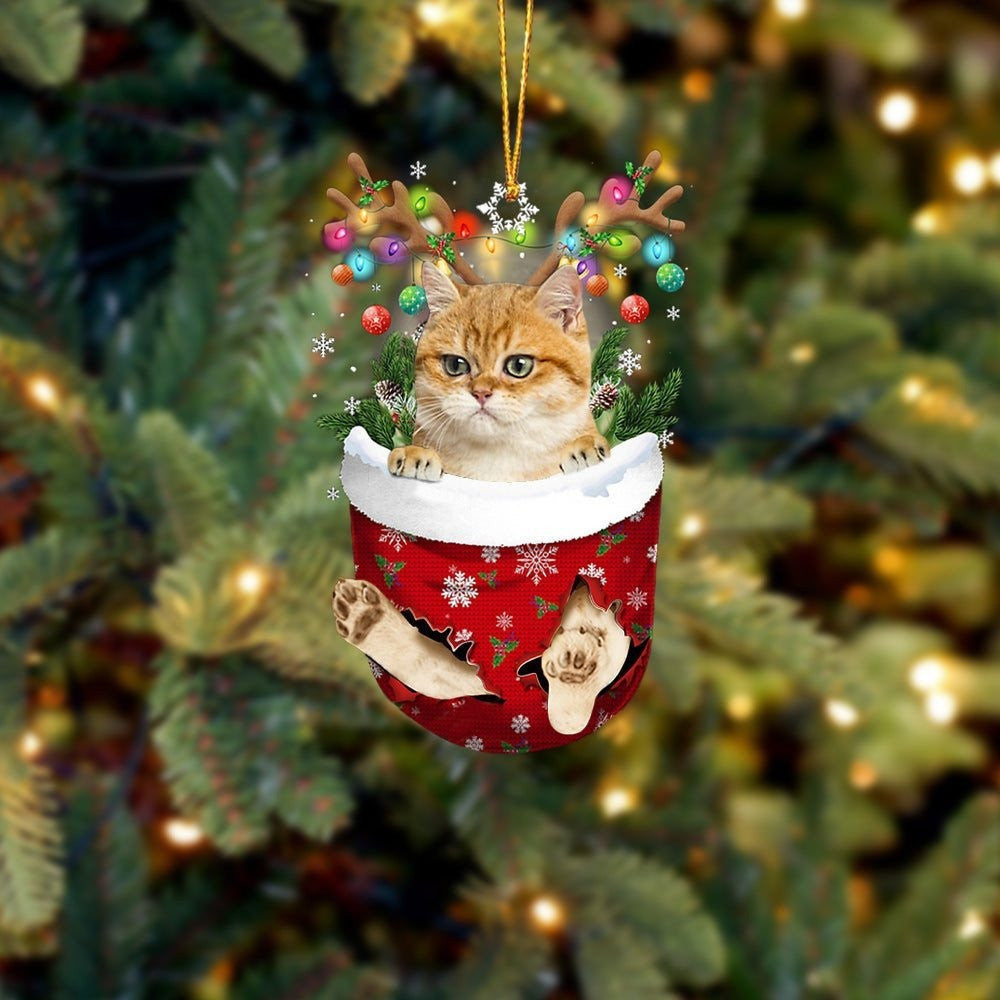 Funny Yellow Cat In Snow Pocket Christmas Ornament Flat Acrylic Cat Ornament