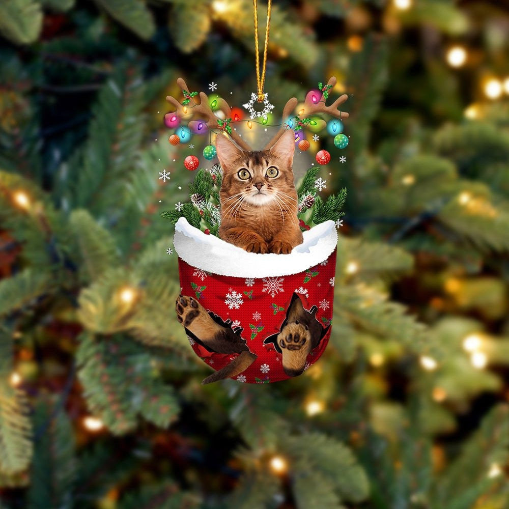 Funny Brown Cat In Snow Pocket Christmas Ornament Flat Acrylic Cat Ornament