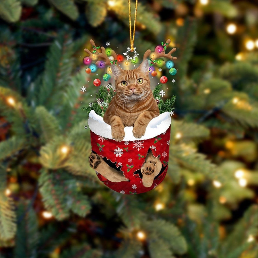 Funny Brown Cat In Snow Pocket Christmas Ornament Flat Acrylic Cat Ornament