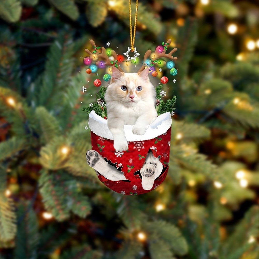 Funny Cornish Rex In Snow Pocket Christmas Ornament Flat Acrylic Cat Ornament
