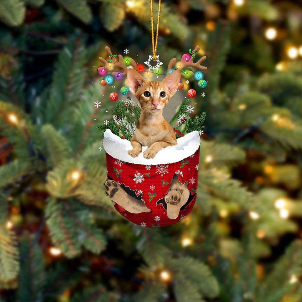 Funny Cat Oriental Shorthair In Snow Pocket Christmas Ornament Flat Acrylic Cat Ornament
