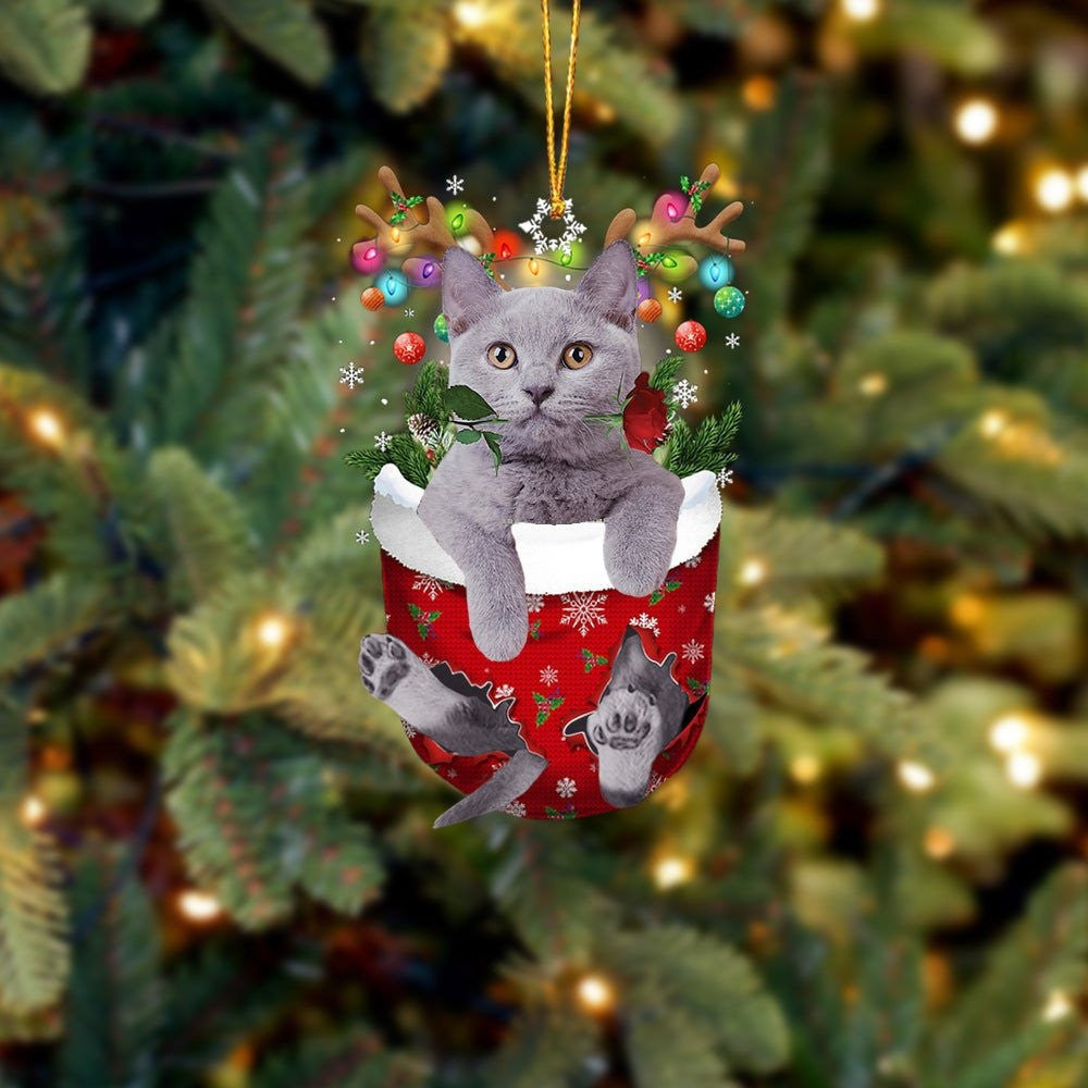 Funny British Shorthair In Snow Pocket Christmas Ornament Flat Acrylic Cat Ornament
