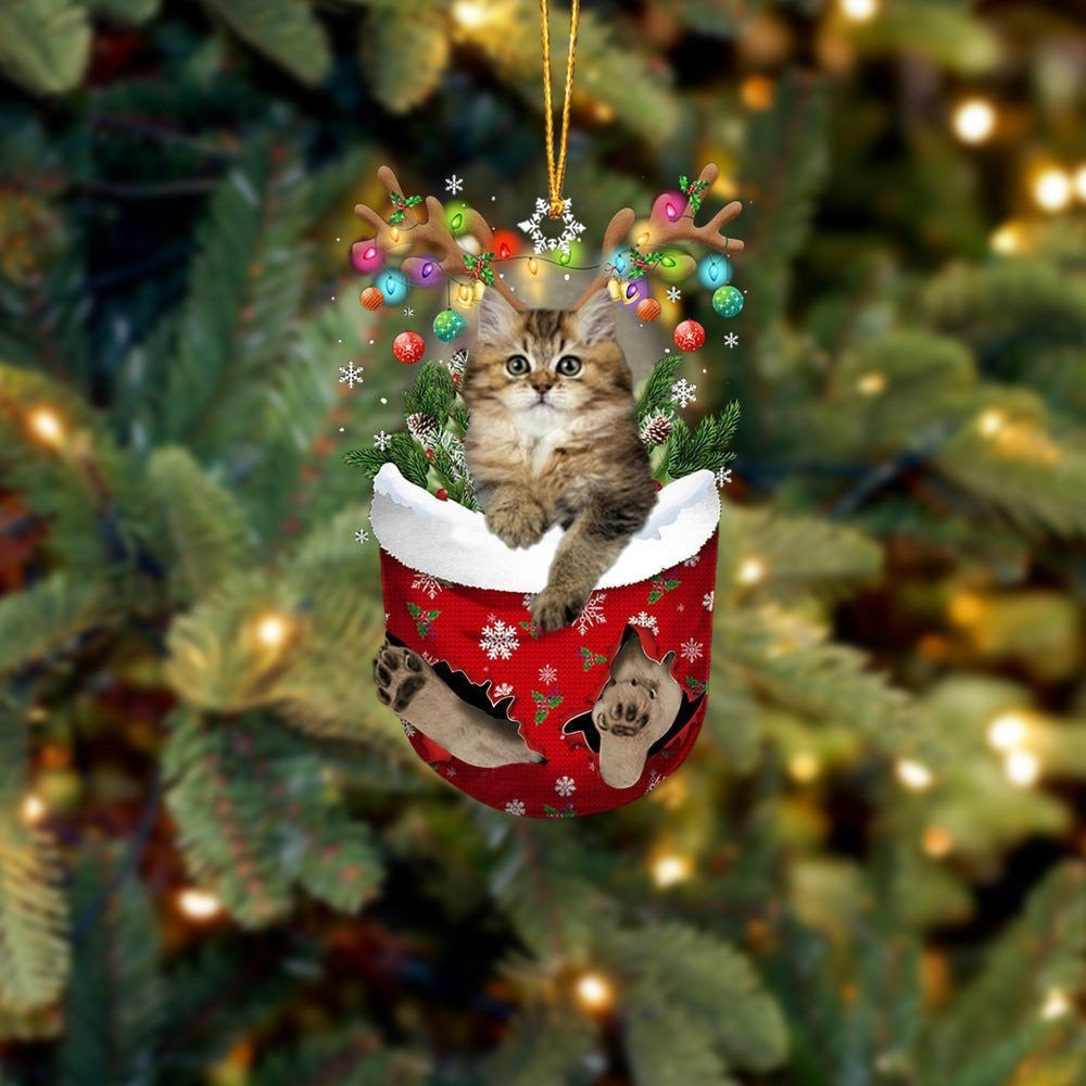Funny Cat British Longhair In Snow Pocket Christmas Ornament Flat Acrylic Cat Ornament
