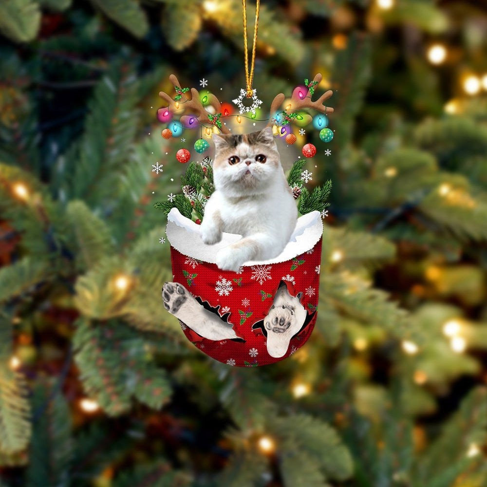 Funny Exotic Shorthair In Snow Pocket Christmas Ornament Flat Acrylic Cat Ornament