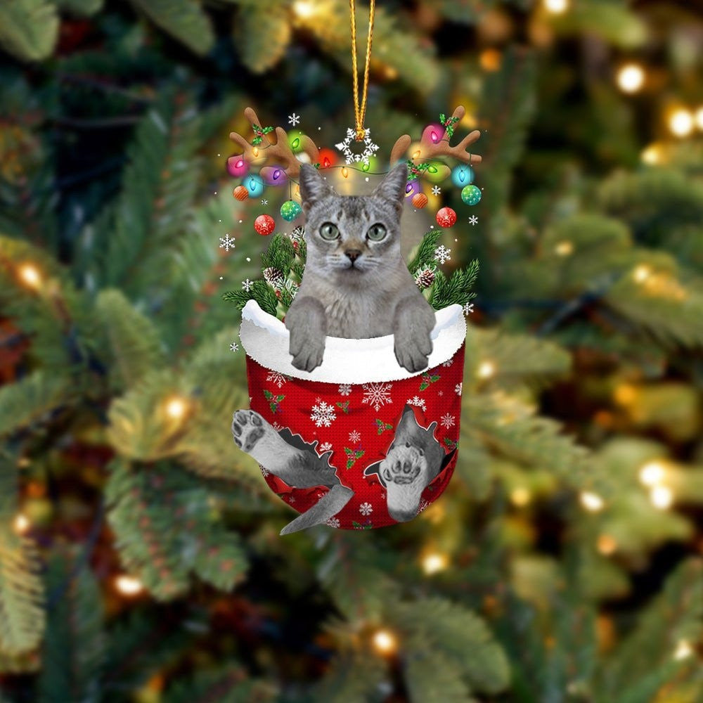 Funny Singapura Cat In Snow Pocket Christmas Ornament Flat Acrylic Cat Ornament